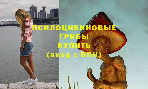 таблы Алексин