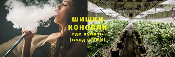 скорость Алзамай